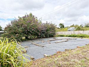 Vegetable Patch- click for photo gallery